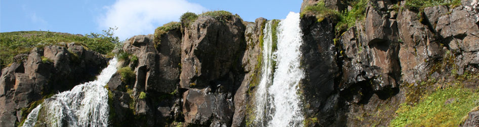 Forsíðubanner